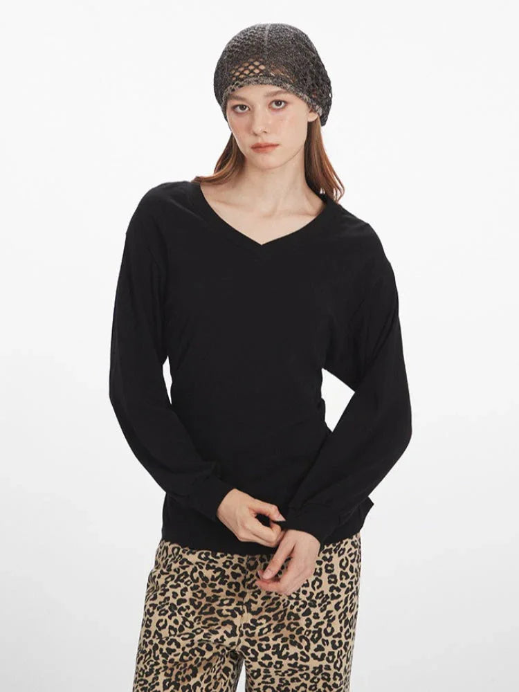 Full body front view of a model wearing a black V-neck long-sleeve top and leopard print wide-leg pants.