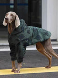 Dog wearing a dark green fleece jacket with a black geometric pattern.