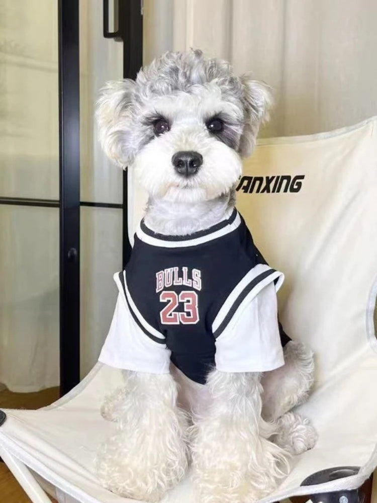 Small Dog Sporty Layered T-Shirt