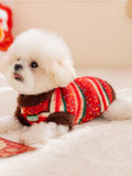 White Bichon Frise dog lying down, wearing a red, green, and white striped knit sweater with brown fuzzy trim.
