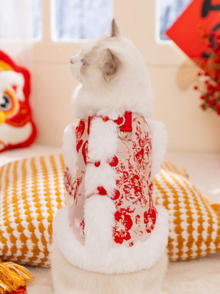 Rear view of a white cat wearing a red traditional Chinese style coat with a red floral print and faux fur trim, showing the leash attachment ring