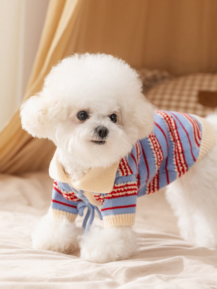 Striped knit dog sweater with pointed collar and lace-up detail - View 6 | WEUXS