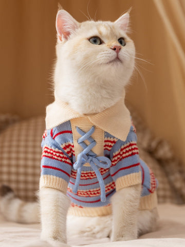 Cat wearing a blue and red striped knit sweater with a lace-up front and cream collar.