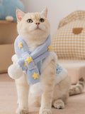 A light-colored cat wearing a blue and white striped vest with yellow star appliques and a matching scarf with pom-poms.