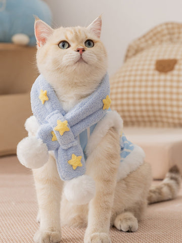 A light-colored cat wearing a blue and white striped vest with yellow star appliques and a matching scarf with pom-poms.