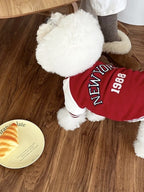 A white Bichon Frise dog wearing a red and white "New York 1988" varsity jacket.