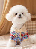 Bichon Frise dog wearing a blue and red striped knit sweater with a lace-up front detail and a cream collar.
