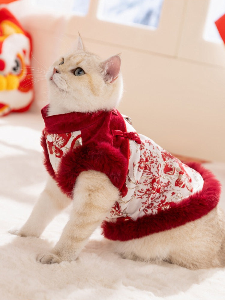 Cat sitting and looking up, wearing a red and white traditional Chinese inspired pet vest with faux fur trim and floral embroidery.