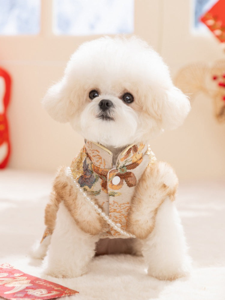 Front view of a white dog sitting, adorned in a detailed pet garment with traditional patterns.