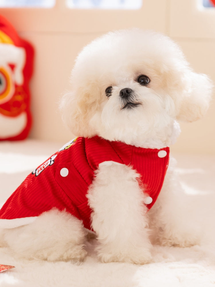 Front view of a small white dog sitting and wearing a red corduroy dog vest with white buttons.