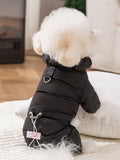 Rear view of a small dog in a black puffer jacket with leash attachment