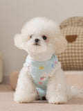 A Bichon Frise dog wears a light blue padded vest with a cloud and strawberry print and white ruffle trim.