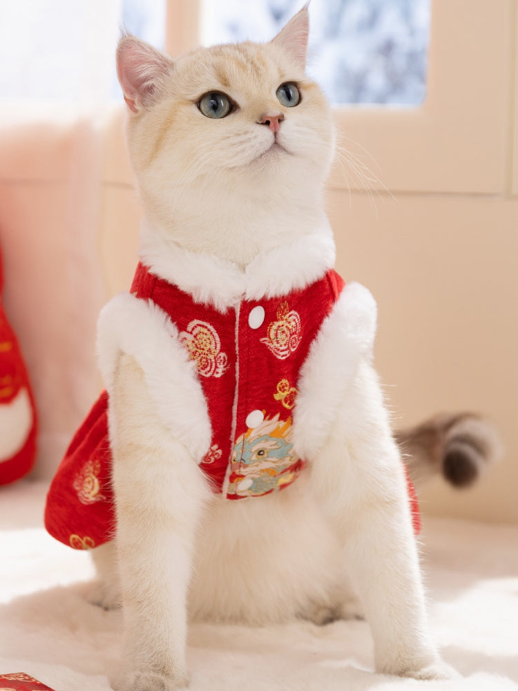 Cat wearing a red festive vest dress with traditional Chinese patterns and white faux fur trim
