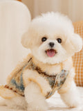 Close-up of a dog's face with a boucle fleece vest