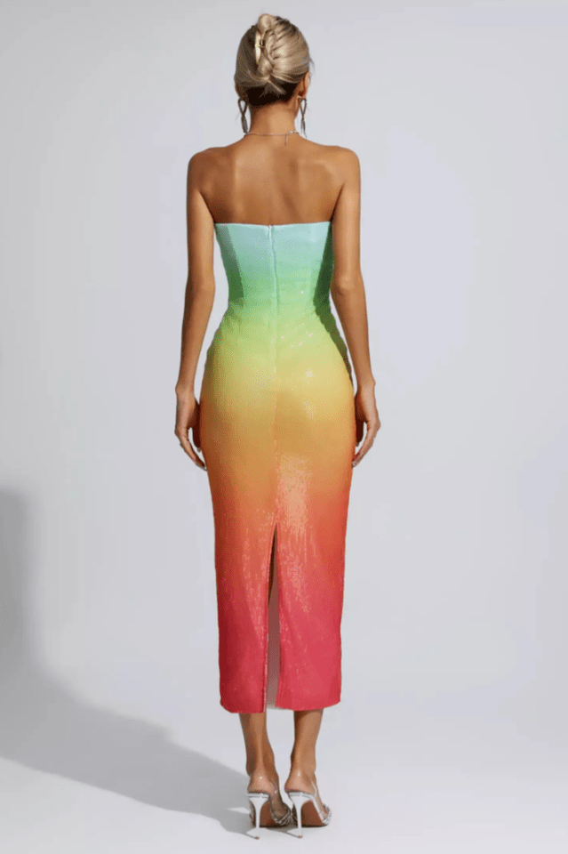 Regina Multicolored Sequin Bodycon Dress - WEUXS