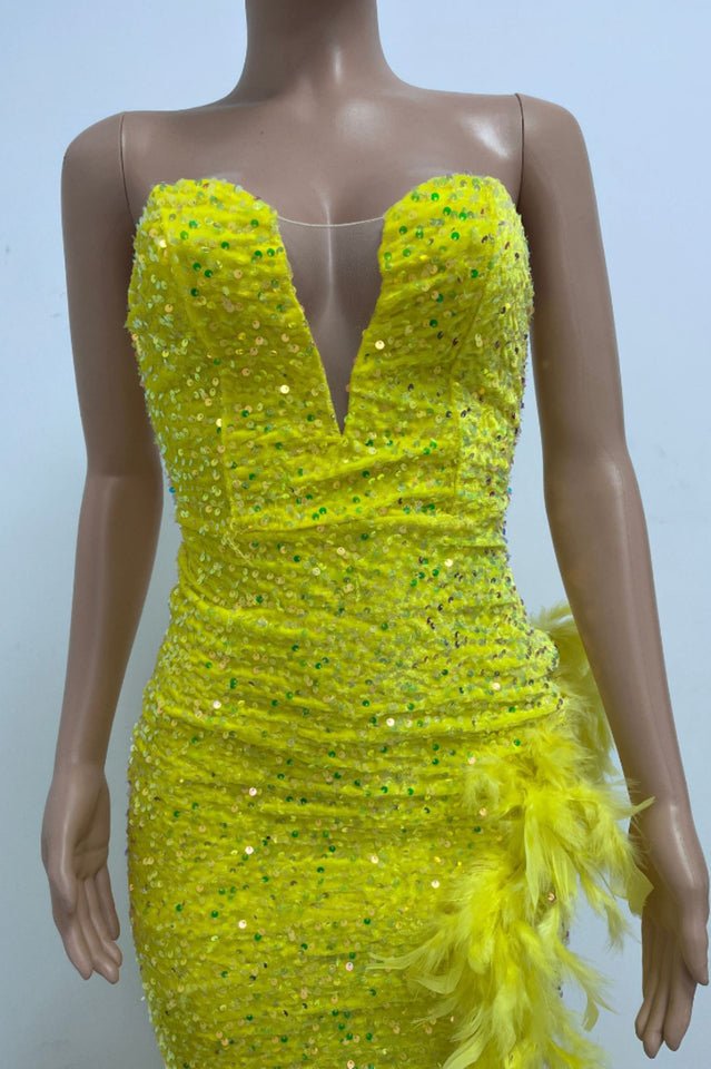 Sequin Feather Trimmed Dress - WEUXS